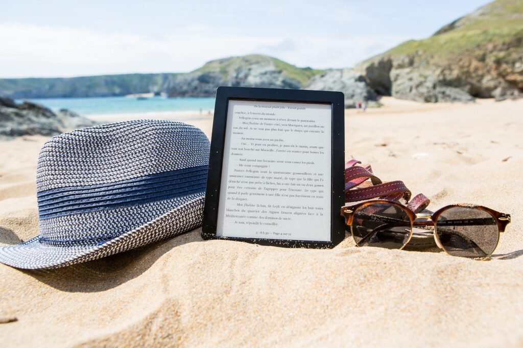 ebook playa